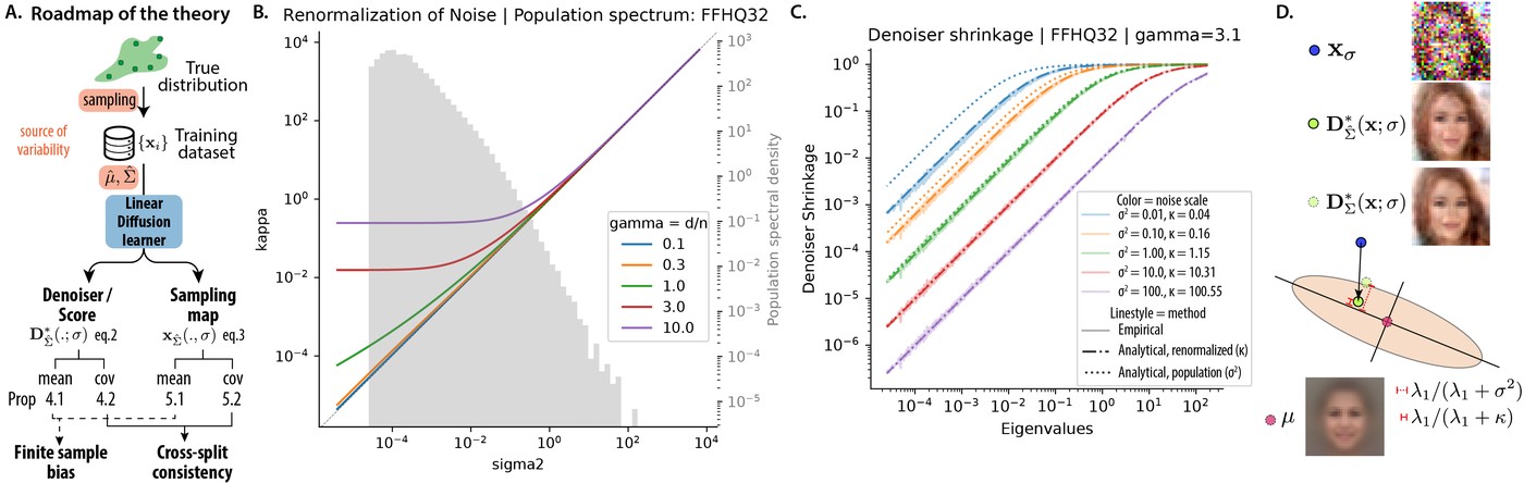 noise renormalization and overshrinkage figure