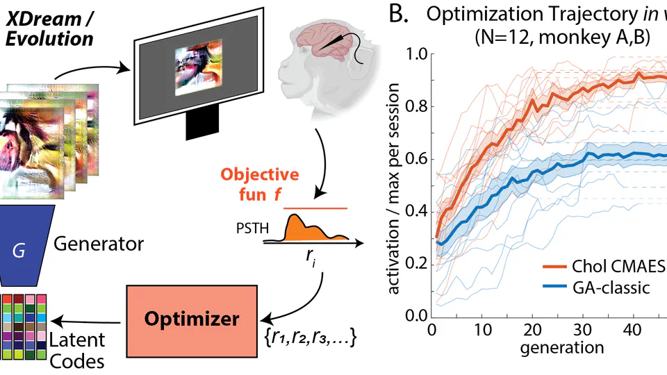 High-performance Evolutionary Algorithms for Online Neuron Control