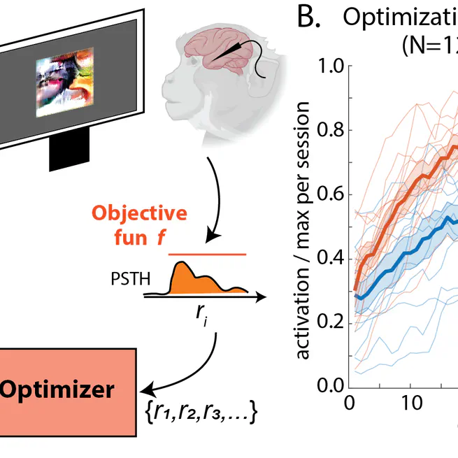 High-performance Evolutionary Algorithms for Online Neuron Control