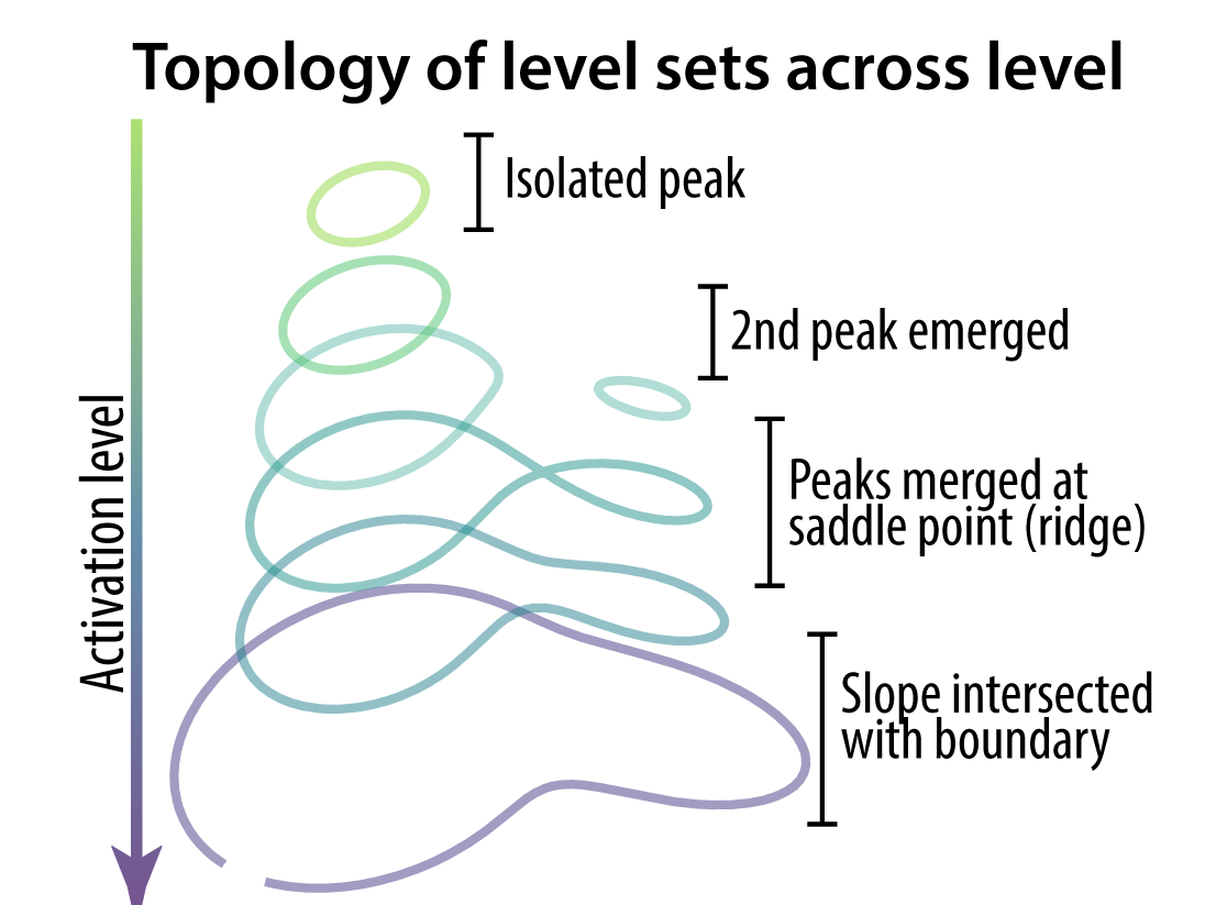 On the Level Sets and Invariance of Neural Tuning Landscapes