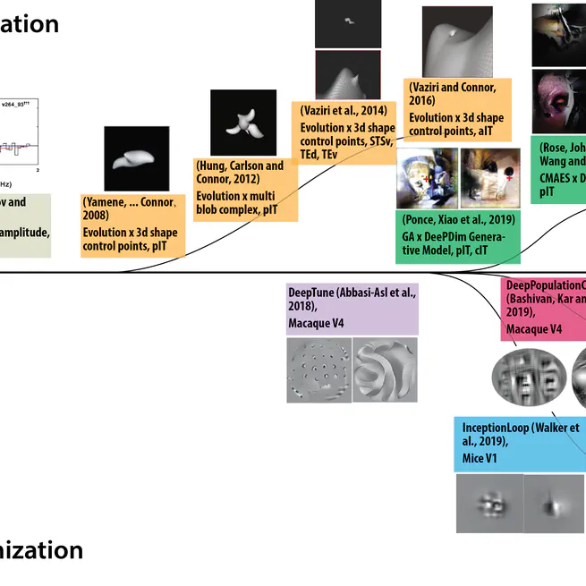 Charting the Landscape of Ventral Stream Neural Code on Generative Image Manifolds
