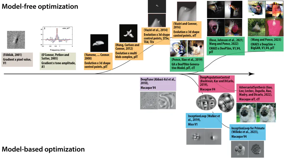 Charting the Landscape of Ventral Stream Neural Code on Generative Image Manifolds